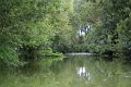 (35) Le Marais Poitevin